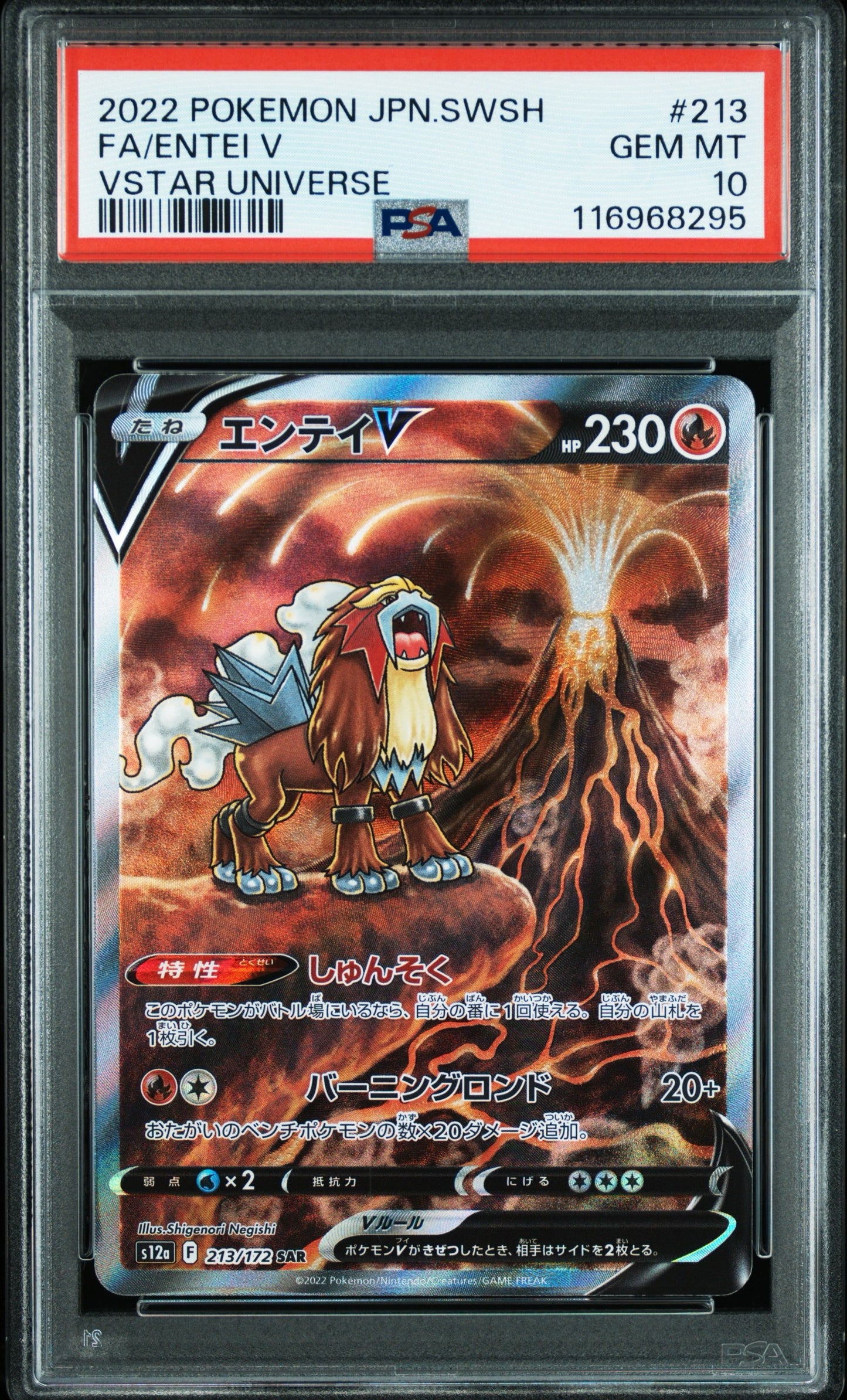 Entei V (213/172) PSA Gem Mint 10 ๐