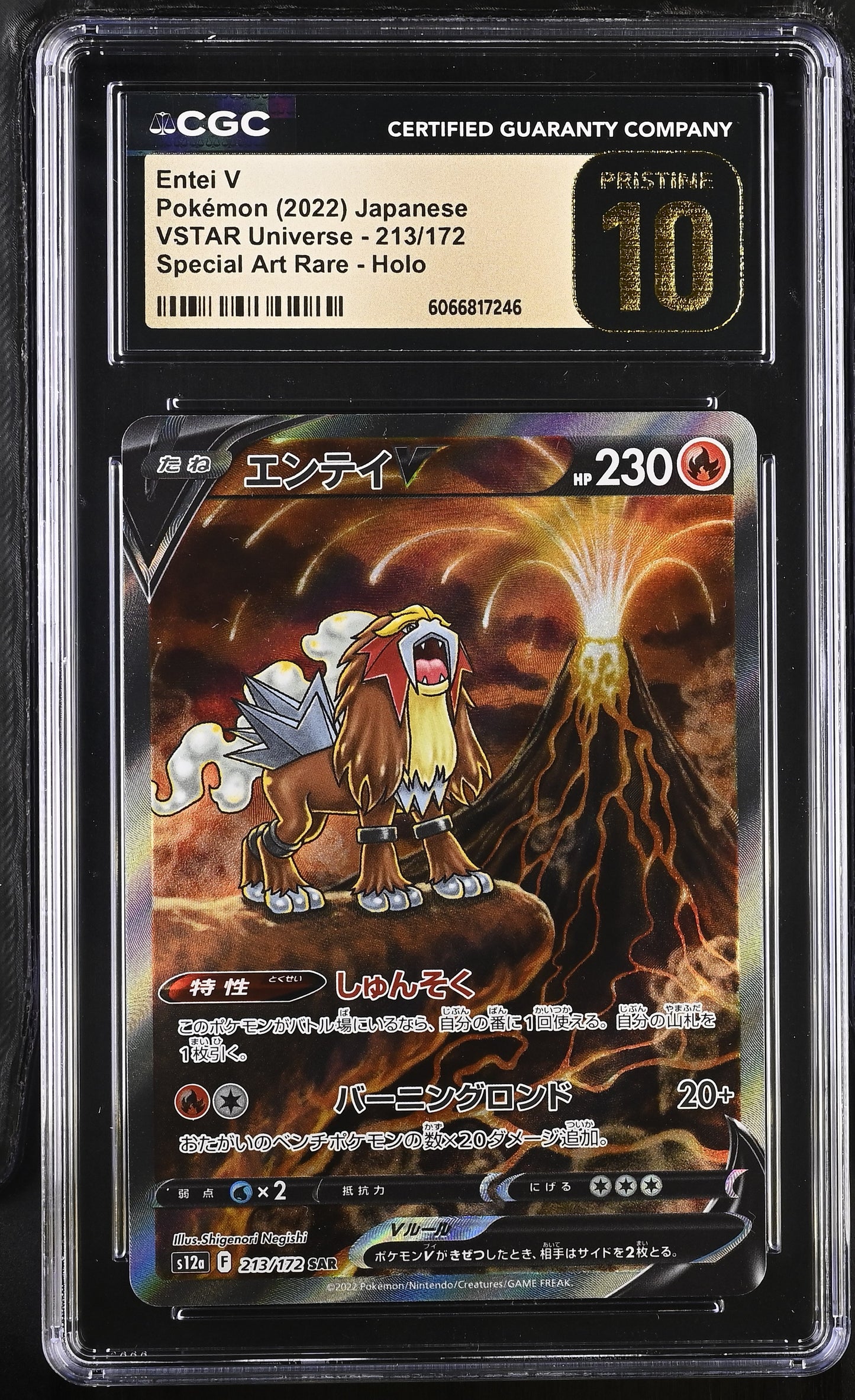 Entei V (213/172), Suicune V (215/172), & Raikou V (218/172) Bundle - CGC Pristine 10โs ๐