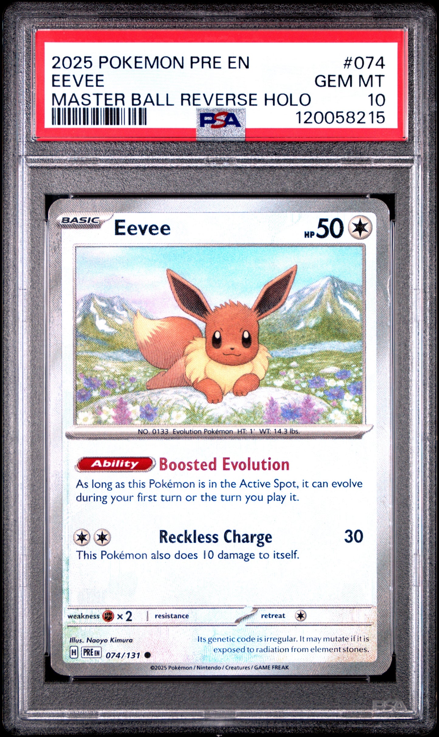 Eevee - Masterball (074/131) PSA Gem Mint 10 💎